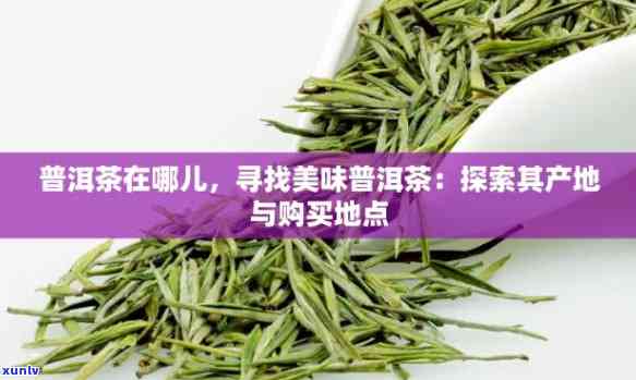 茶叶售卖地点查询：哪里可以买到茶叶？