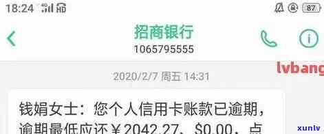 冰岛老树茶200克价格：最新市场行情与特点解析