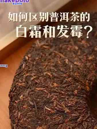 茶叶表面有一层白的是什么病，茶叶表面的白色物质是什么？并非病，揭开茶叶保剂的神秘面纱！