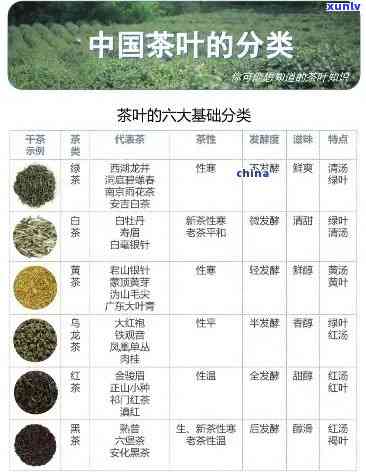 茶叶是怎样分级的？了解茶叶的等级划分和标准