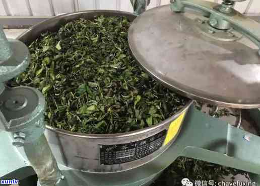 茶叶揉捻机谁发明的呢，揭秘茶叶揉捻机的发明者是谁？