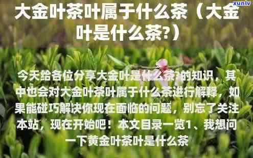 大金叶属于哪类茶，探秘茶叶世界：了解大金叶的茶类归属