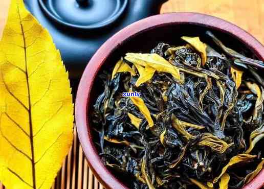 大金叶属于哪类茶，探秘茶叶世界：了解大金叶的茶类归属