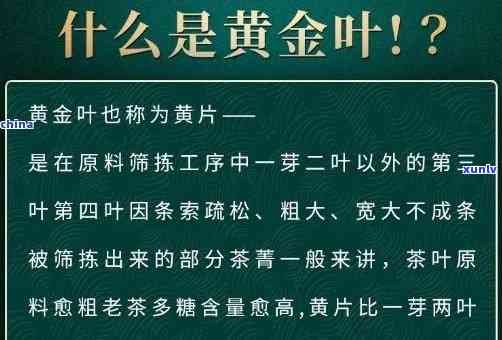 大金叶茶叶属于什么茶，探究茶叶分类：了解大金叶茶叶属于哪一类茶？