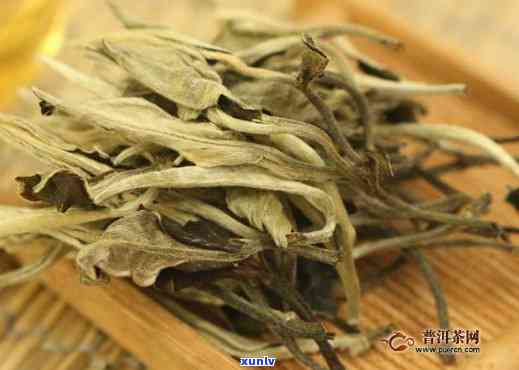 白牡丹茶叶是哪里的-白牡丹茶叶是哪里的特产