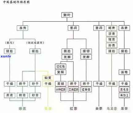 茶叶的种类划分：详细解析与分类方式