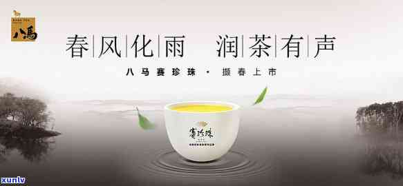 八马茶叶的故事，《八马茶叶：从茶园到茶杯的传奇人生》