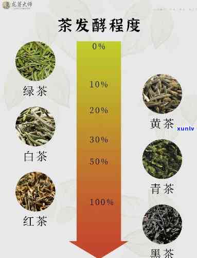 现在的茶叶是害人的还是好的？安全性、价格与品种全解析