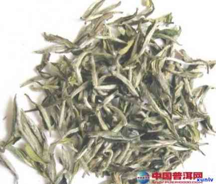 金丝猴茶叶：产地、品种及价格全解析 - 红茶or绿茶？白茶or其他？