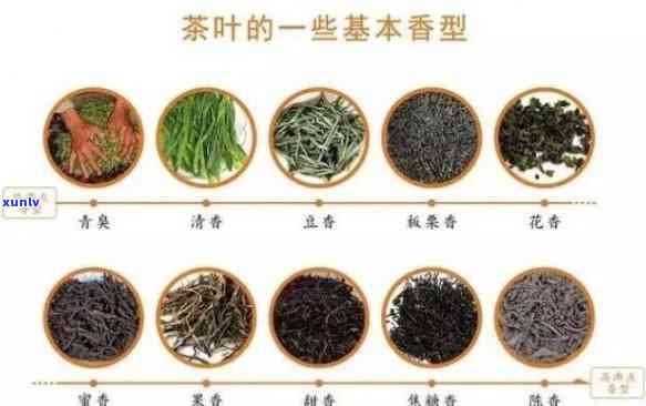 茶叶的香味是什么物质，揭示茶叶香气的秘密：探究茶叶中关键物质