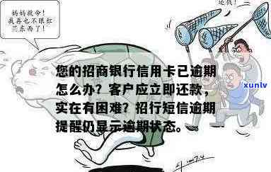 招商银行不小心逾期了，突  况：招商银行客户不逾期，应怎样解决？