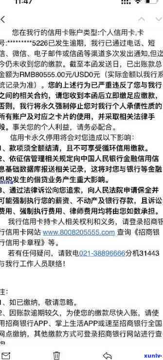 老班章茶王树的生长年限及相关特点解析：了解其背后的故事和价值