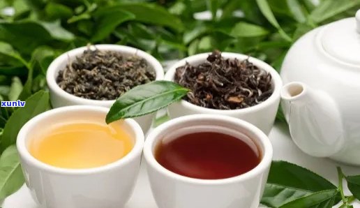 茶叶是不是农副产品之一，茶叶：既是饮品，又是农副产品之一吗？