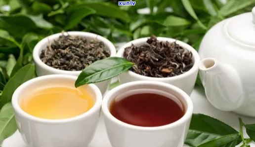 茶叶是农副食品吗？探讨其农产品与食品属性