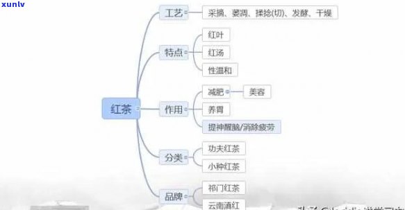 关于茶的头脑风暴结构图：以茶为例的知识梳理与深度解析