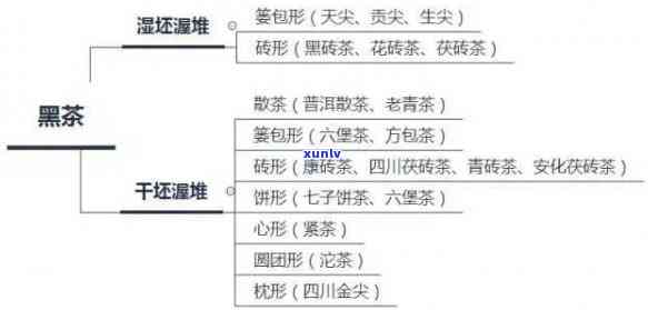 关于茶的头脑风暴结构图：以茶为例的知识梳理与深度解析