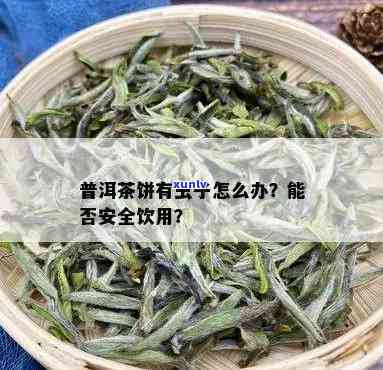 茶叶有虫子还能喝吗？专家解析是否安全饮用