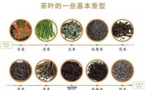 和茶叶有关联的物品有哪些：从图片到种类、食物全面解析