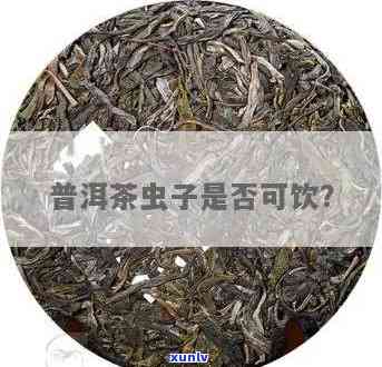 茶叶有虫子还能喝吗？有吗？详解与解决 *** 