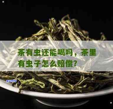 茶叶有虫子还能喝吗-茶叶有虫子还能喝吗图片