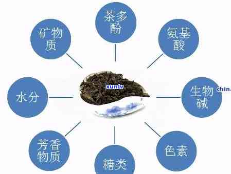 茶叶含茶多酚高好吗，探讨茶叶中茶多酚含量的高低与其品质的关系