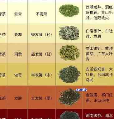 茶叶等级精品，精选茶叶，只为您呈现更优质的精品级产品！