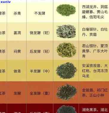 茶叶等级特级和精品-茶叶等级特级和精品哪个好