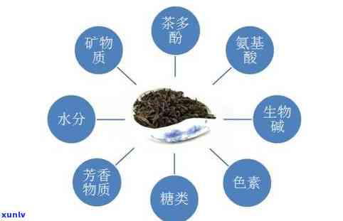 茶叶里都有茶多酚吗？为什么有的能喝有的不能？