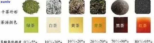 茶叶里都含茶多酚吗？详解其存在与含量