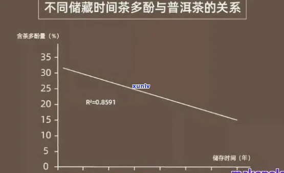 茶叶里面是否含茶多酚？探讨其存在与含量问题