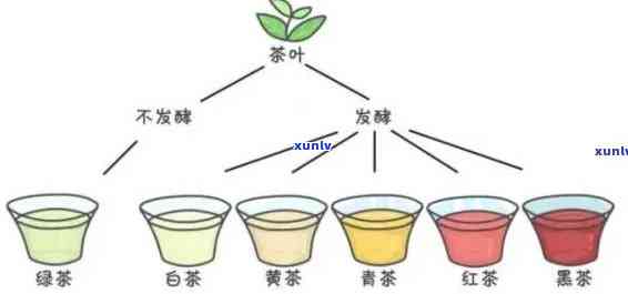 茶叶里面是否含茶多酚？探讨其存在与含量问题