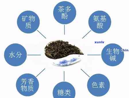 茶叶里面是否含茶多酚？探讨其存在与含量问题