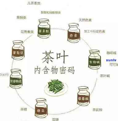 茶叶中都含有茶多酚吗？了解其对人体健的益处与含量