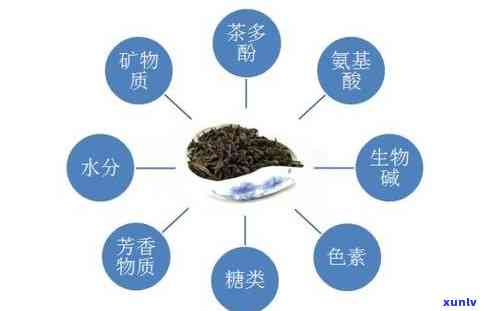 茶叶中都含有茶多酚吗？了解其对人体健的益处与含量