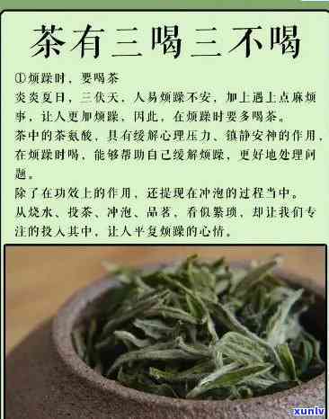 千寻白牡丹茶叶多少钱？