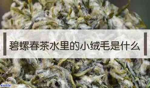 茶叶水里有白色绒毛-茶叶水里有白色绒毛正常吗