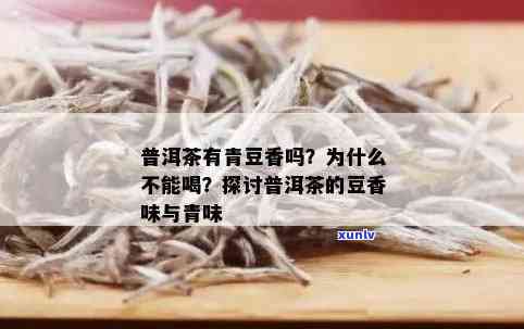 茶叶的豆香味：来源与口感解析