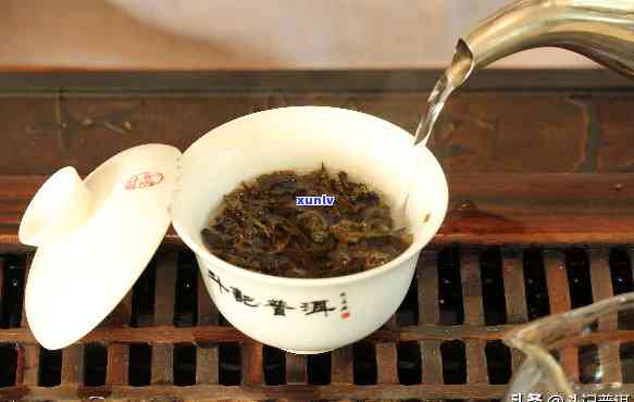 没泡过的茶叶能吃吗，茶叶未浸泡可否食用？解析茶叶的食用安全性