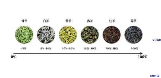 探究每种茶叶的独特口感：对比与分析