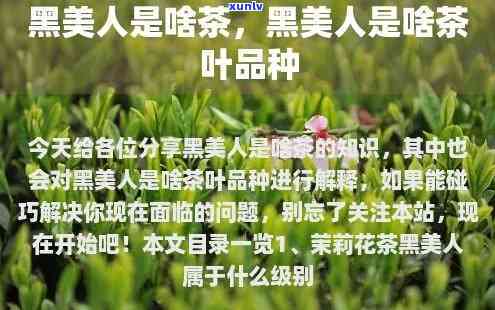 黑美人茶叶介绍视频：揭示其功效与作用