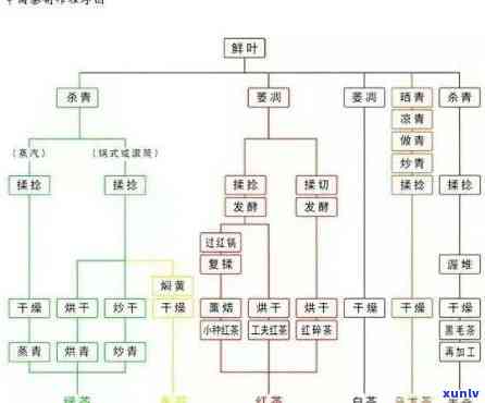 茶叶的生产流程图详解：全过程图解与介绍