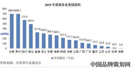 石家茶叶市场介绍词：位置、规模、销售情况全解析