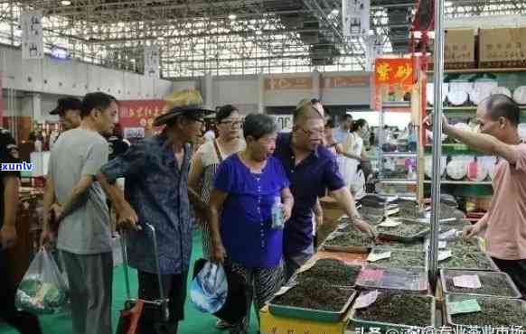 石家茶叶市场介绍-石家茶叶市场介绍词