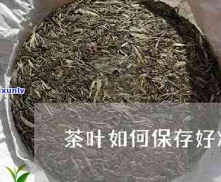 茶叶能放冷冻吗？保存期限是多久？