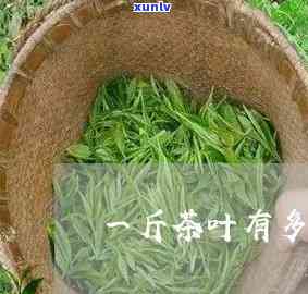 一罐茶叶多少斤，茶叶重量指南：一罐茶叶等于多少斤？