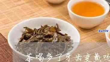 易武正山普洱茶的独特风味与特点