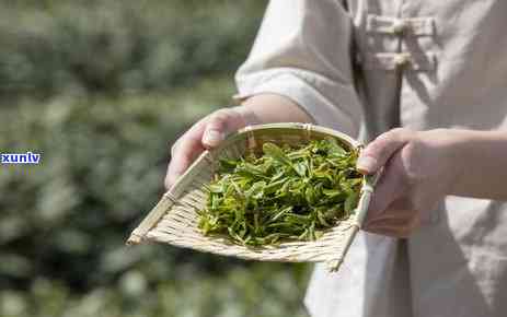 心脏病能喝茶叶茶吗，心脏病患者可以饮用茶叶茶吗？