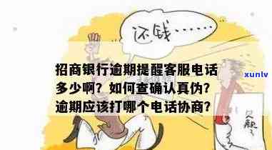 招商银行逾期打  -招商银行逾期打  给家人可以打银监会投诉吗