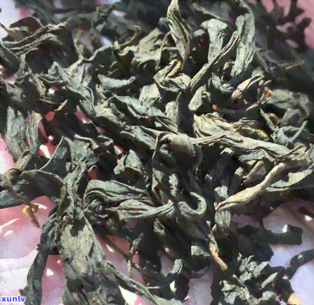 像树皮的茶叶是什么-像树皮的茶叶是什么茶