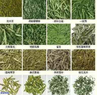 茶属于什么茶，探究茶叶品种：茶属于哪种类型的茶？